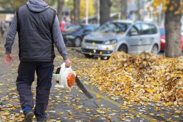 Frühjahrs- und Herbstsanierung