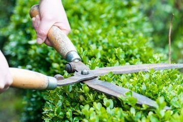 Rasen- und Gartenpflege